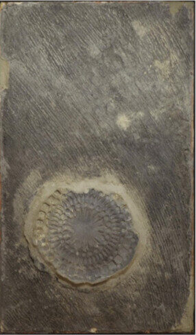 Snowflake Circle, 1950er-Jahre, Gipsabdruck, 122 x 81,3 cm